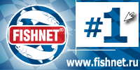 Fishnet Image
