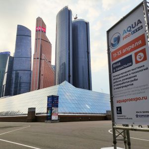 конструкция на фоне Moscow city