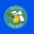 Logo (1)