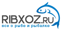 ribxoz200x100